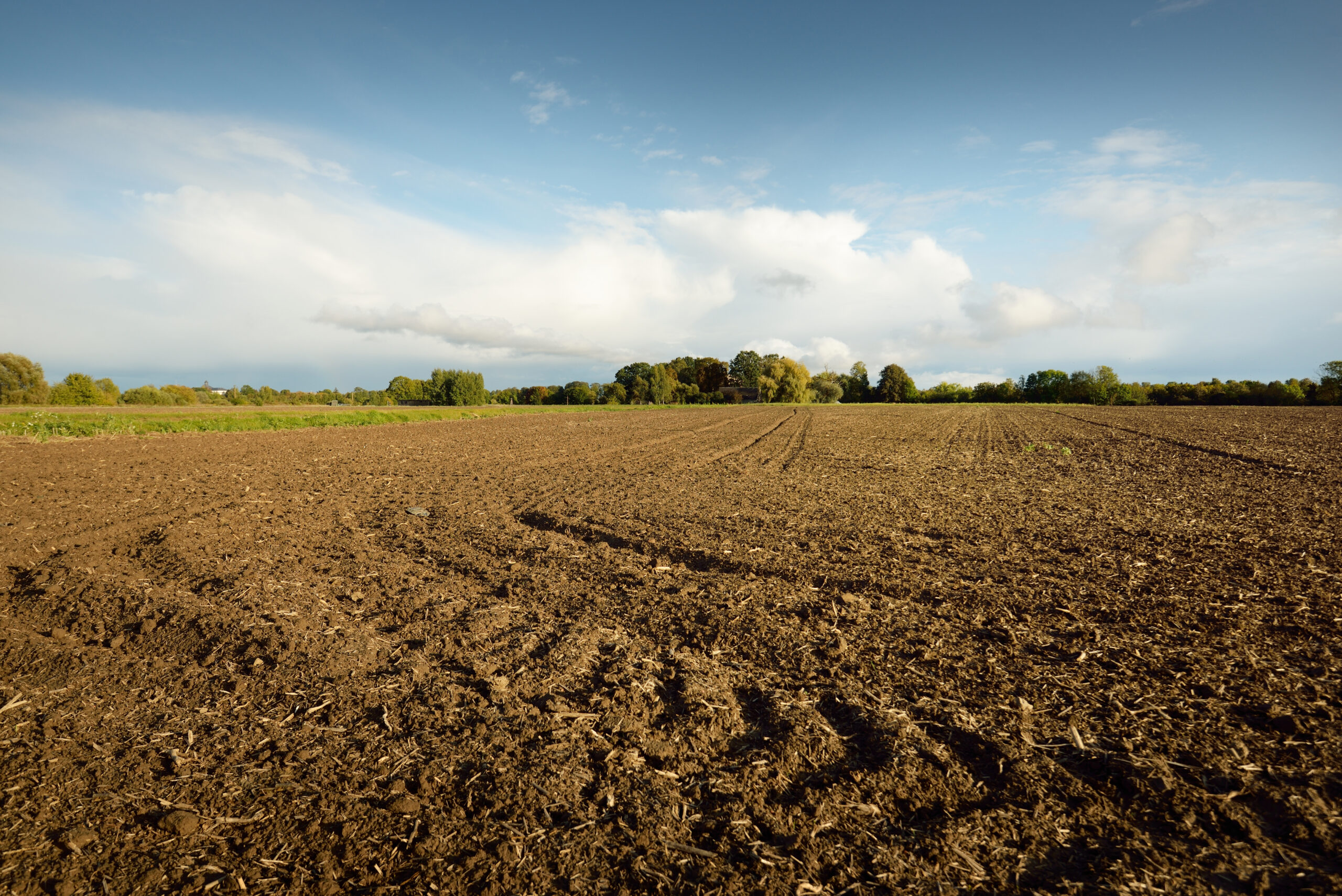 Plowed,Agricultural,Field,Under,Dramatic,Sky,,Tractor,Tracks,,Soil,Texture